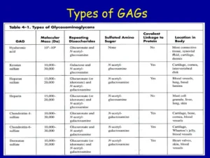 Glycosaminoglycans (GAGs) image001 (3)